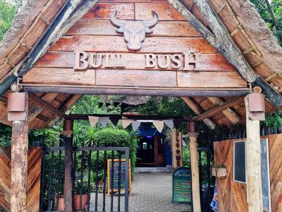 Bull and Bush