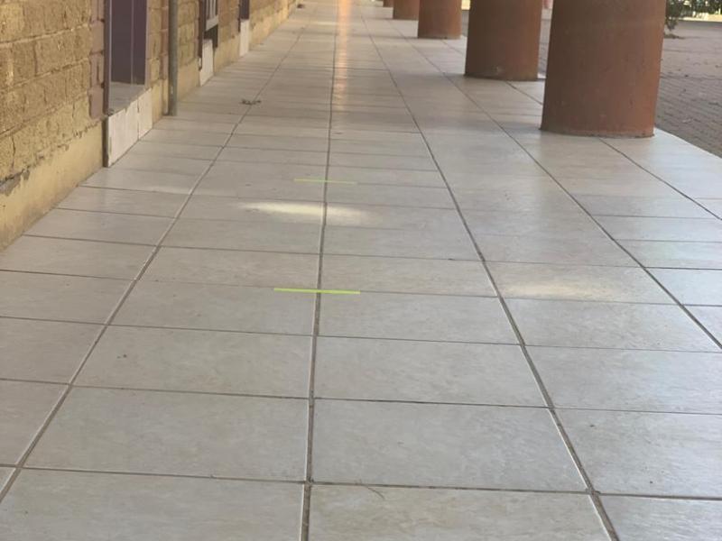 Newton International School (Preschool, Primary, Secondary)