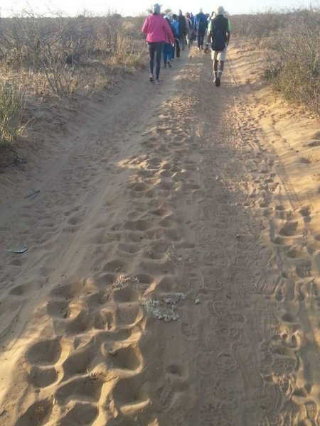 The Desert Bush Walk
