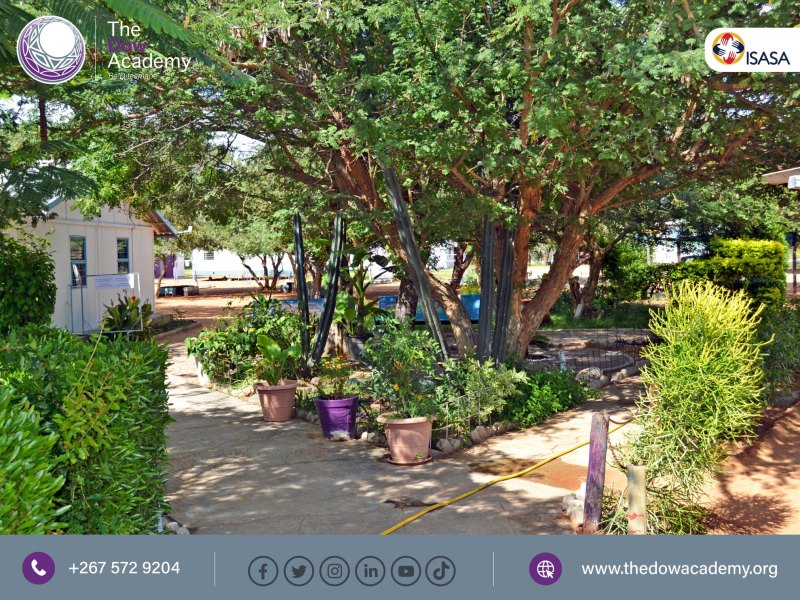 The Dow Academy (Preschool,Primary, Secondary)