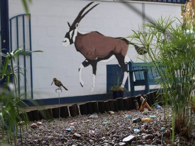 Broadhurst Primary School