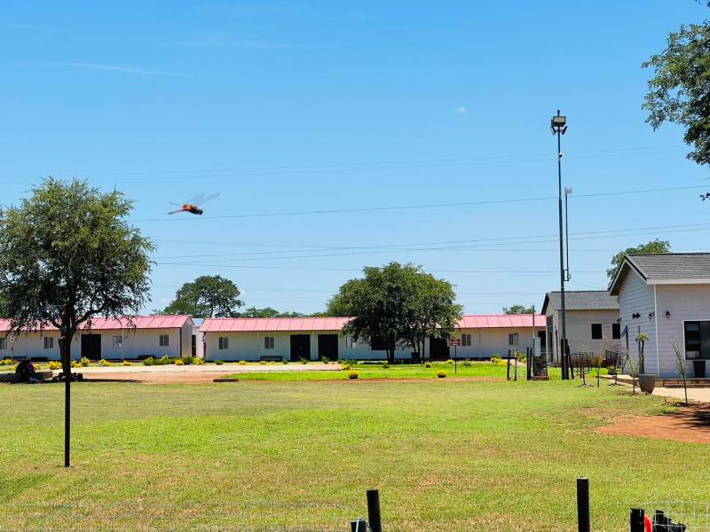 Tabitha (Primary, Secondary)