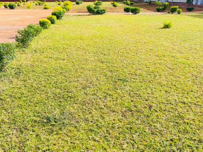 Tabitha (Primary, Secondary)