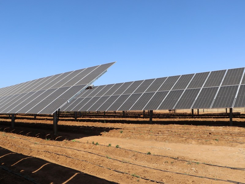 Botswana University of Agriculture and Natural Resources BUAN