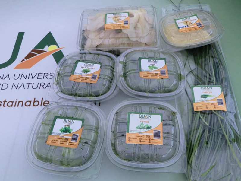 Botswana University of Agriculture and Natural Resources BUAN
