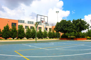 BA ISAGO University