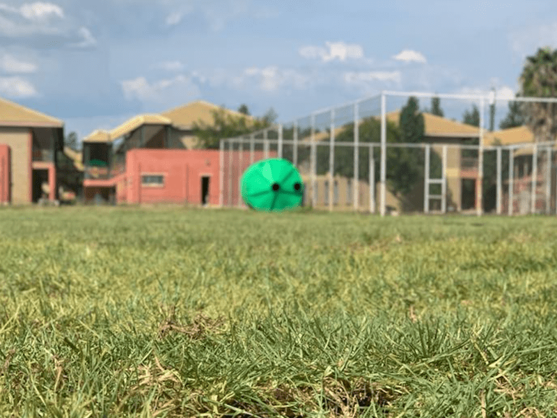 Newton International School (Preschool, Primary, Secondary)