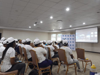 Botswana Network for Mental Health (Non-Governmental Organisation)