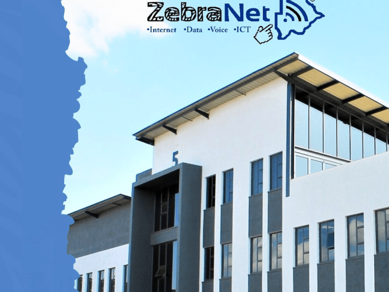 ZebraNet