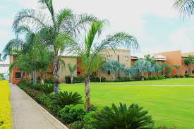 BA ISAGO University
