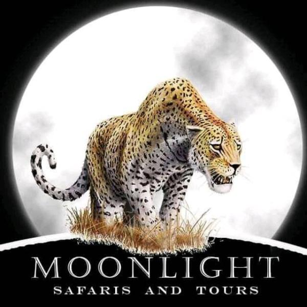 Moonlight Safaris