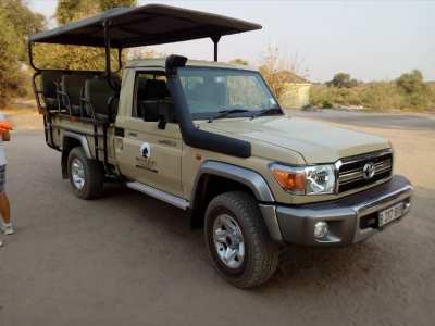 Moonlight Safaris