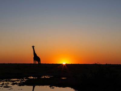 Authentic Botswana Tours