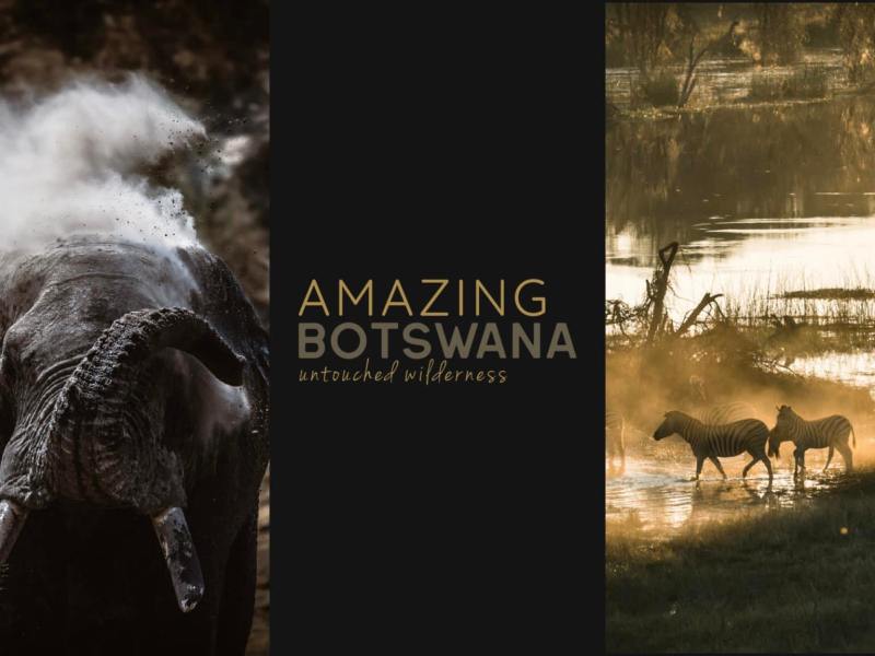 Amazing Botswana
