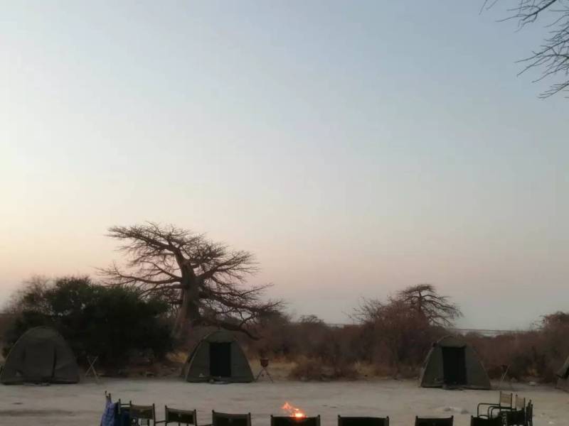 Moonlight Safaris