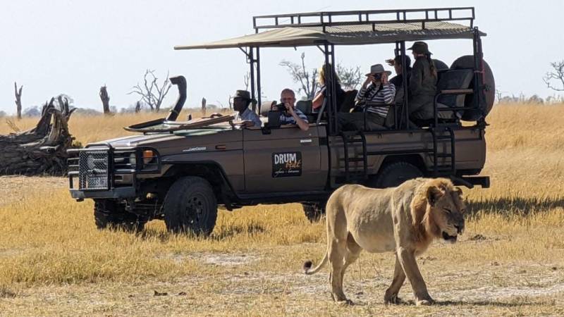 Drumbeat Safaris