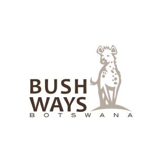 Bush Ways Safaris