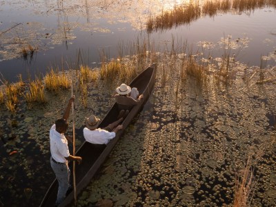 Wilderness Safaris