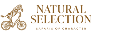 Natural Selection Travel Agency