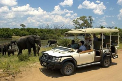 African Odyssey