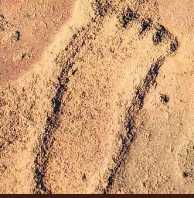 Matsieng Footprints