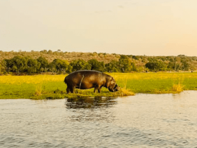 Iponele Lefatshe Travel Agency