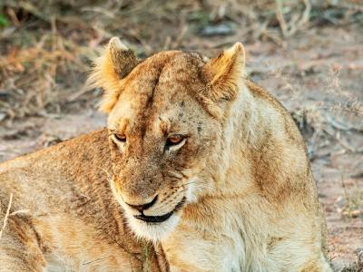 Central Kalahari Game Reserve