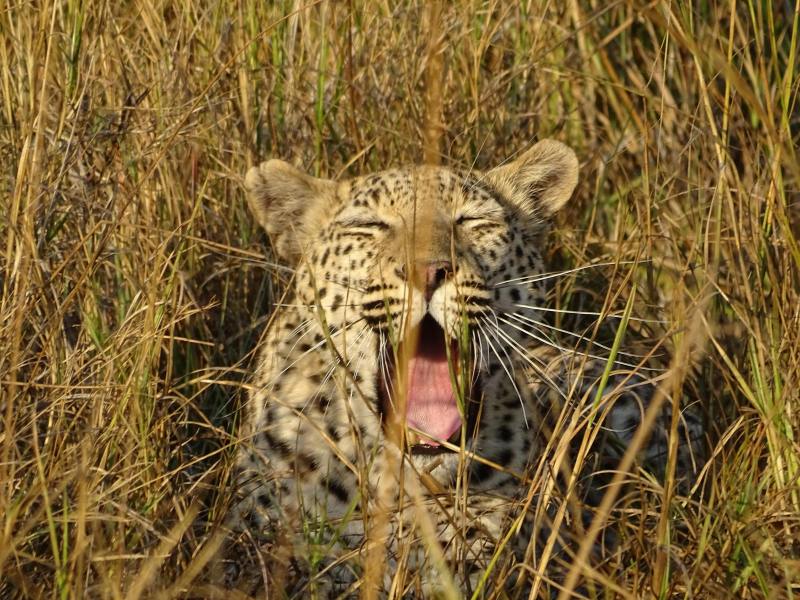 Khutse Game Reserve