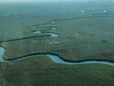 Okavango Delta