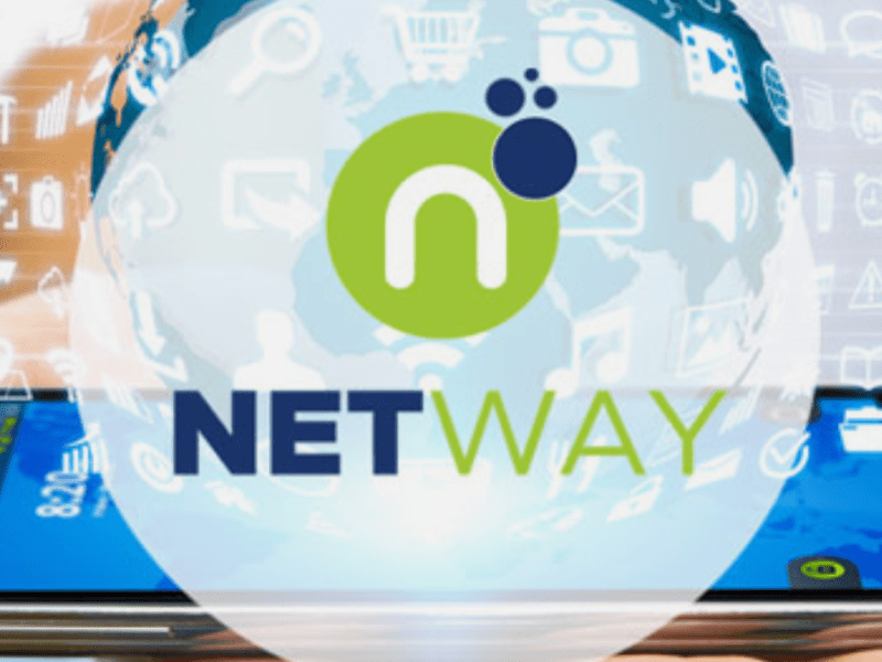 ​Netway Botswana