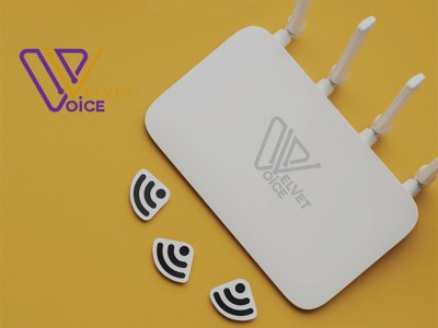 Velvet Voice