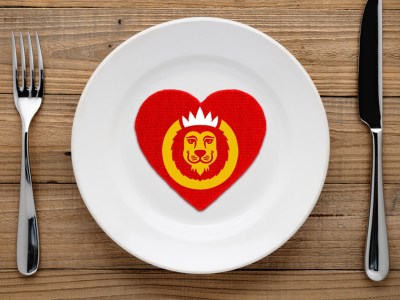 Hungry Lion