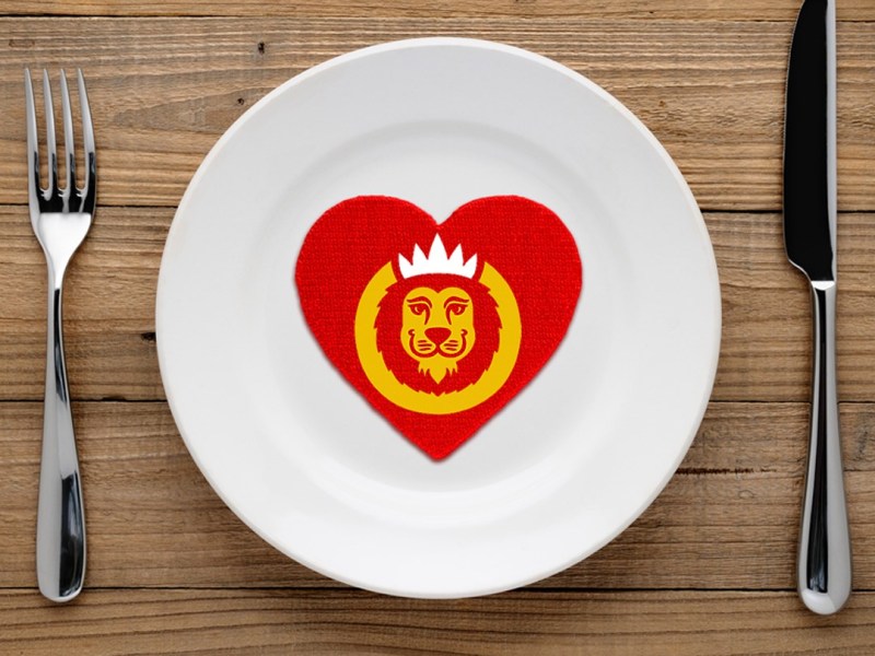 Hungry Lion