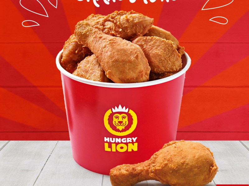 Hungry Lion