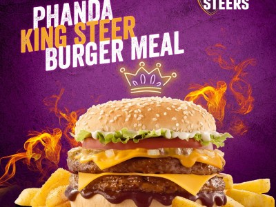 Steers