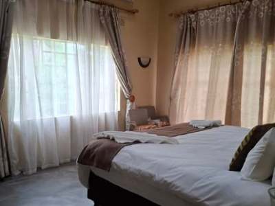 Beulah Court Vineyard - from BWP 730