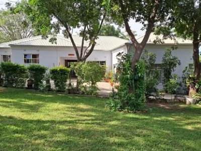 Beulah Court Vineyard - from BWP 730