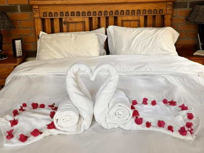 Hiddengem - from BWP 450