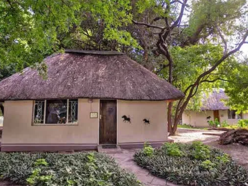 Island Safari Lodge - from BWP 1015