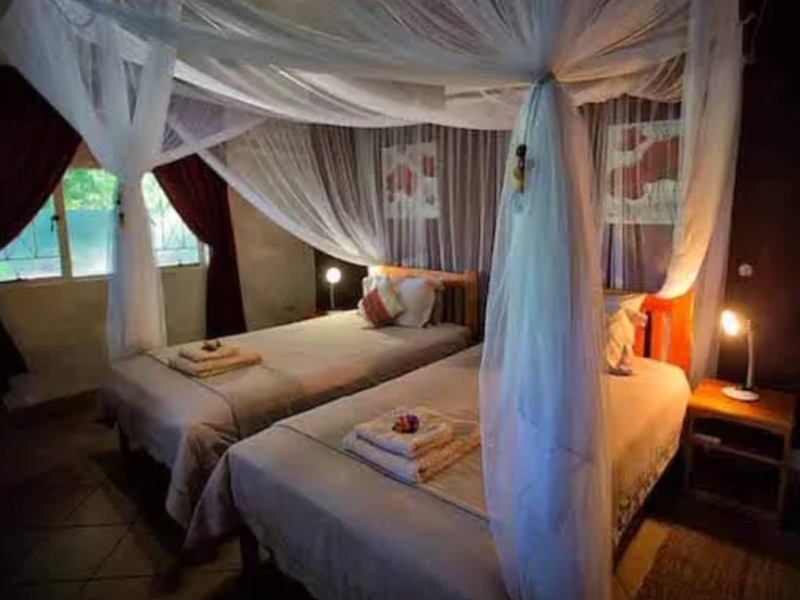 Island Safari Lodge - from BWP 1015