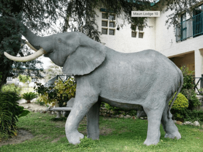 Maun Lodge - from BWP 695