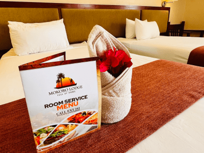 Mokoro Lodge - from BWP 965