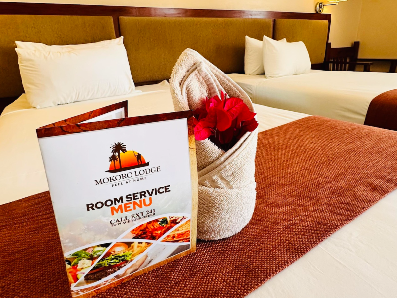 Mokoro Lodge - from BWP 965