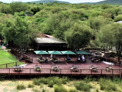 Crocodile Pools River Safaris - from BWP 1200