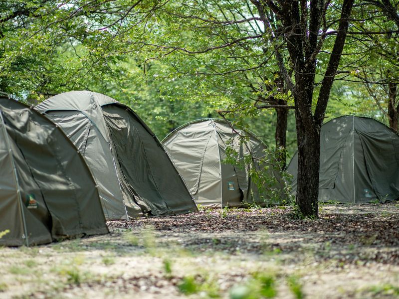 Kalahari Breeze Safaris - from BWP 1100