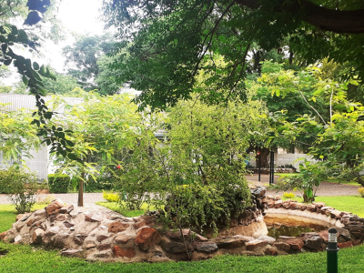 Driftwood Boutique Bed and Breakfast - from BWP 390