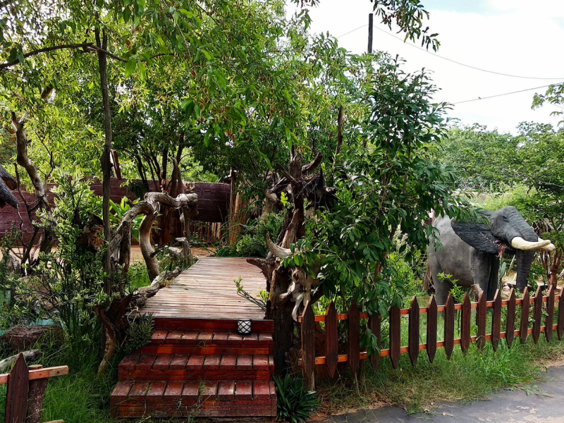 Elephant Trail Guesthouse and Backpackers - from BWP 330
