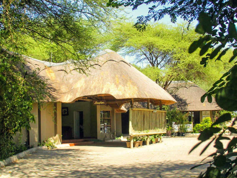 Kwalape Safari Lodge - from BWP 1130