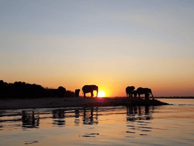 Chobe River Lodge - from BWP 4400