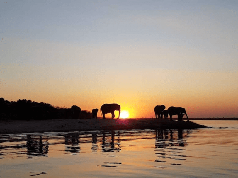 Chobe River Lodge - from BWP 4400